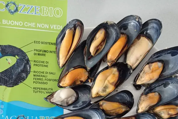 cozze fresche bio
