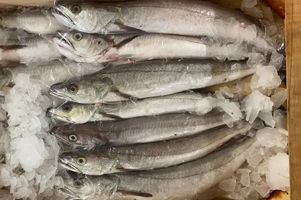 pesce-fresco-06