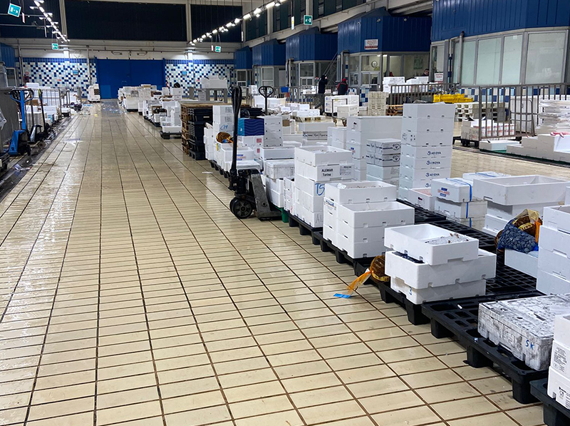 esposizione pesce fresco mercato ittico torino