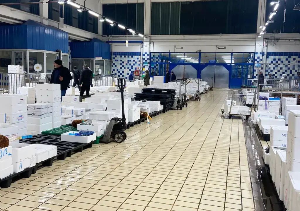 mercato ittico torino esposizione pesce fresco