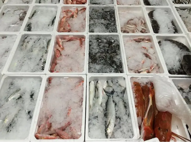 pesce-fresco-mercato-ittico-torino