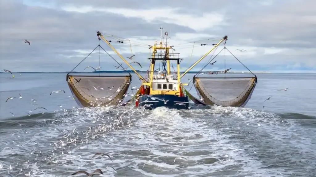 imbarcazione da pesca a strascico