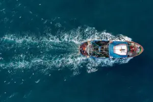 peschereccio pesca pesce fresco